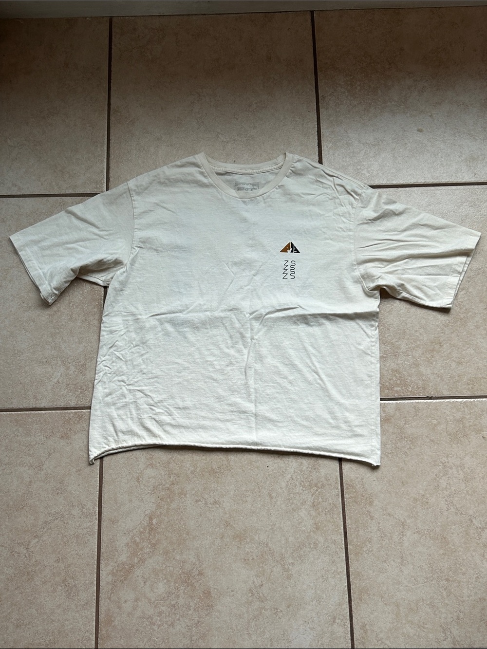 the Patagonia Women's Oversized Driftways Organic T-Shirt